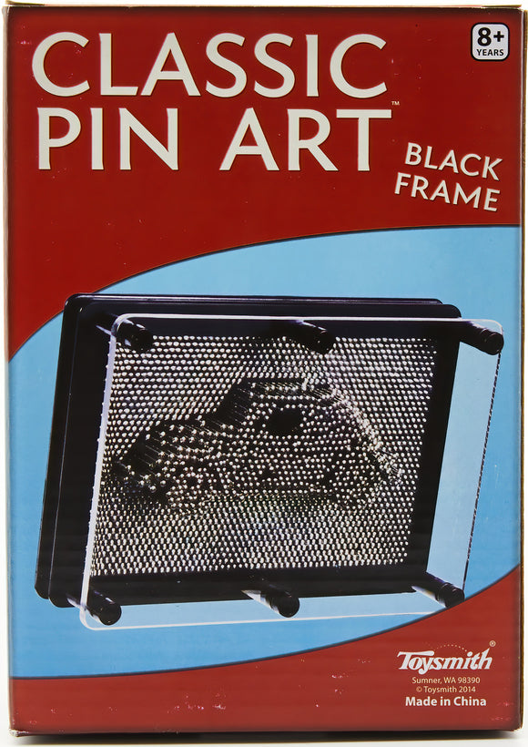 Large Pin Art