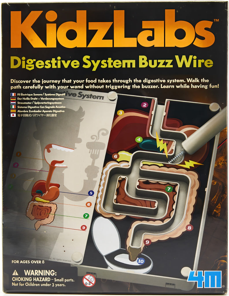 Digestive System Buzz Wire