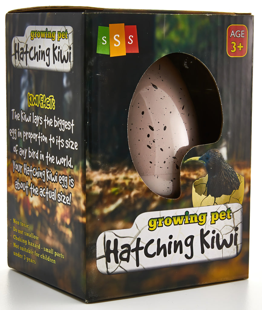 Hatching Kiwi