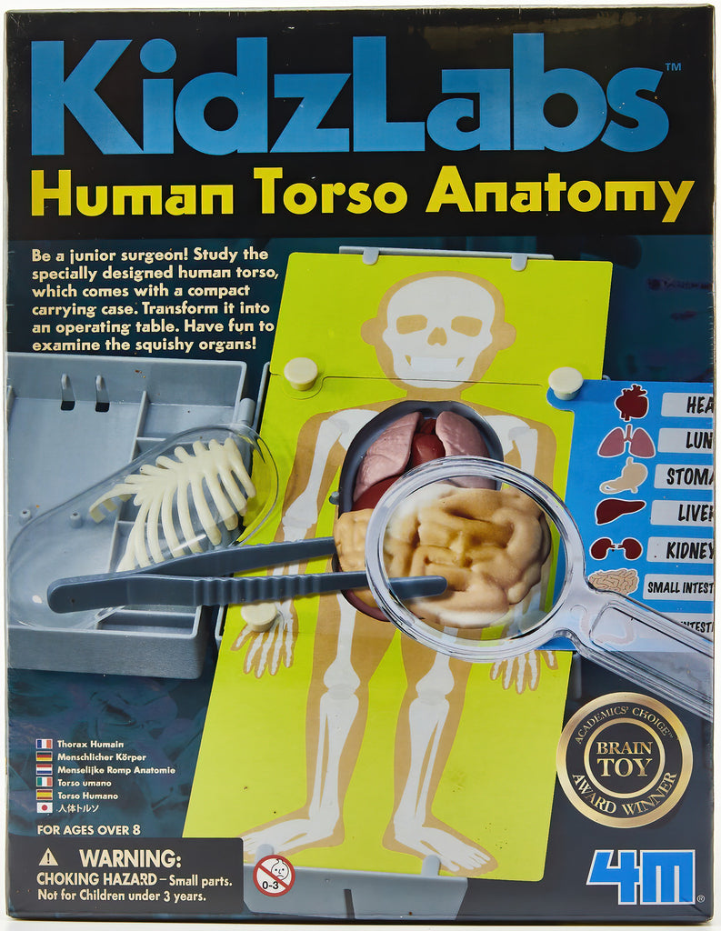 Human Torso Kit