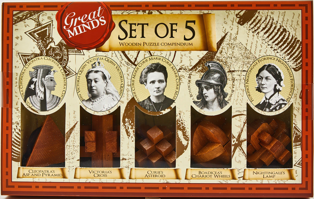 Set of Five Genius Women Puzzles