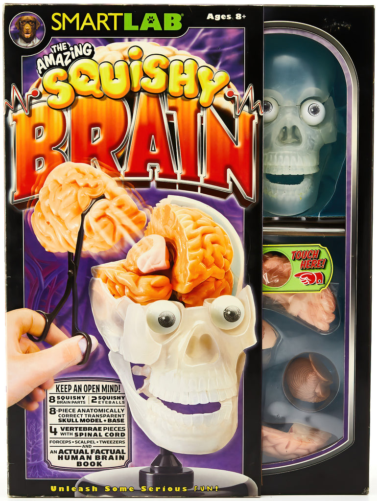 Squishy Brain